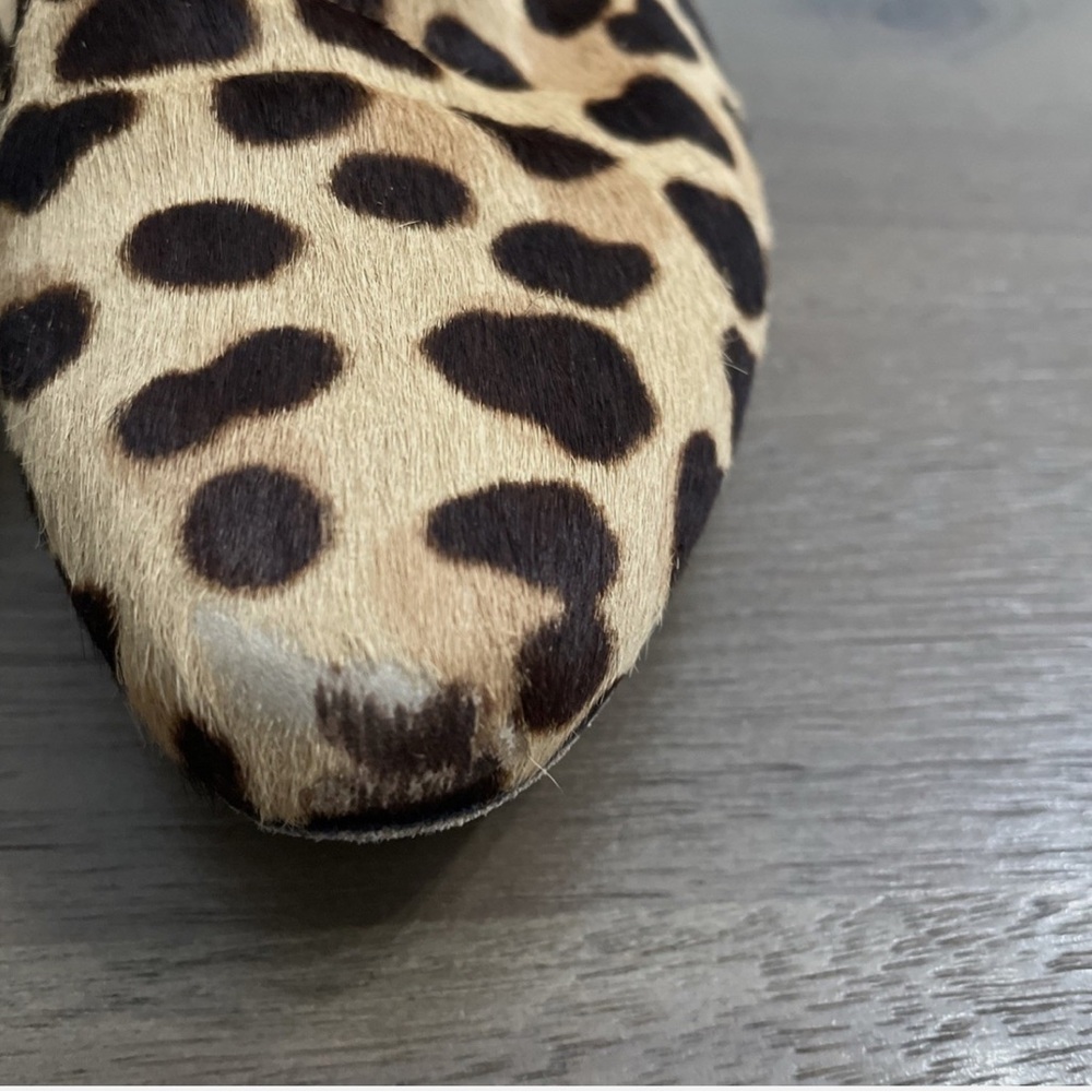 Tory Burch Leopard Print Ankle Booties - Picture 5 of 7